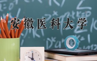 2025年安徽医科大学在新疆计划招生人数（附学费及专业录取分)
