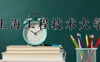 2025年上海工程技术大学在新疆计划招生人数（附学费及专业录取分)