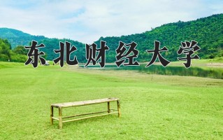 2025年东北财经大学在新疆计划招生人数（附学费及专业录取分)