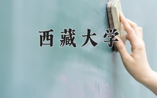 2025年西藏大学在四川计划招生人数（附学费及专业录取分)