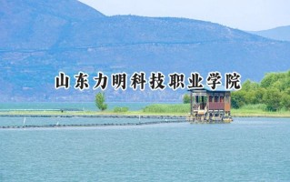 山东力明科技职业学院2024在江苏录取分数线是多少？最低324分/最高423分