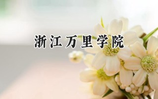 浙江万里学院2024在内蒙古录取分数线是多少？最低390分/最高460分