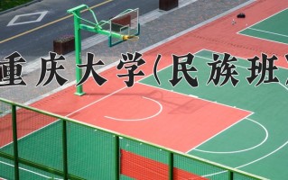 2025年重庆大学(民族班)在重庆计划招生人数（附学费及专业录取分)