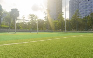 2025陕西高考复读政策解读，高考生复读的实用指南在此