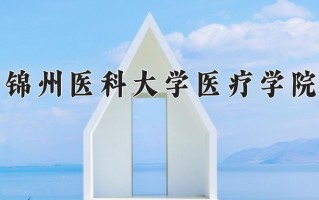2025年锦州医科大学医疗学院在河南计划招生人数（附学费及专业录取分)
