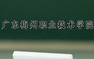 茶叶生产与加工技术专业2025年广东招生院校有哪些？含学费及招生人数