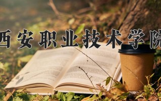 2025年西安职业技术学院在新疆计划招生人数（附学费及专业录取分)