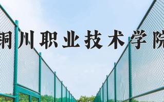2025年铜川职业技术学院在新疆计划招生人数（附学费及专业录取分)