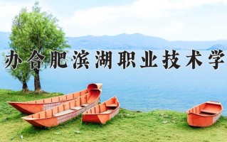 2025年民办合肥滨湖职业技术学院在河南计划招生人数（附学费及专业录取分)