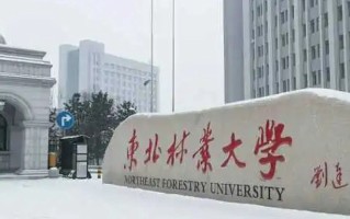 2023东北林业大学国家专项计划分数线一览表(2024年参考)