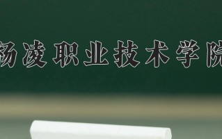 2025年杨凌职业技术学院在河南计划招生人数（附学费及专业录取分)