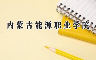 2024内蒙古能源职业学院录取分数线：山西最低252分