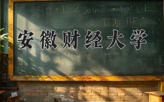 2025年安徽财经大学在河南计划招生人数（附学费及专业录取分)