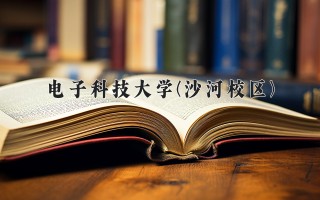 2024年电子科技大学(沙河校区)录取分数线，河北最低586分