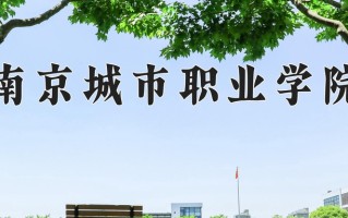 2025年南京城市职业学院在新疆计划招生人数（附学费及专业录取分)