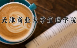 2025年天津商业大学宝德学院在新疆计划招生人数（附学费及专业录取分)