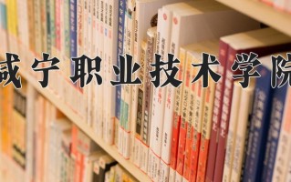 2025年咸宁职业技术学院在河南计划招生人数（附学费及专业录取分)
