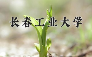 2025年长春工业大学在新疆计划招生人数（附学费及专业录取分)