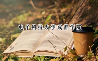 2024电子科技大学成都学院录取分数线：陕西最低443分