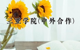 2025年三亚学院(中外合作)在四川计划招生人数（附学费及专业录取分)