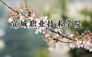 2024宣城职业技术学院录取分数线：山西最低251分