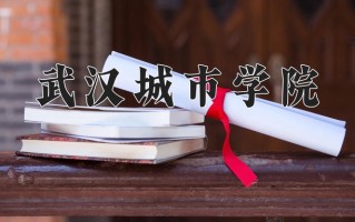 2024年武汉城市学院录取分数线，宁夏最低401分