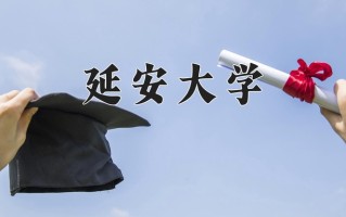 2025年延安大学在四川计划招生人数（附学费及专业录取分)