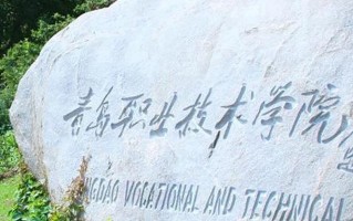 2024年青岛职业技术学院录取分数线，河北最低349分