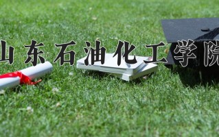 2025年山东石油化工学院在新疆计划招生人数（附学费及专业录取分)