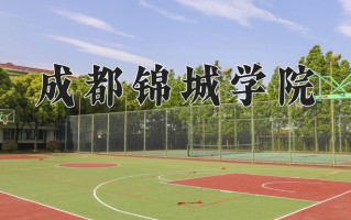 2025年成都锦城学院在四川计划招生人数（附学费及专业录取分)