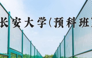2025年长安大学(预科班)在重庆计划招生人数（附学费及专业录取分)