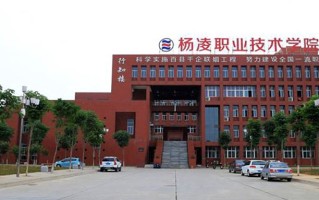 杨凌职业技术学院学费多少钱一年：6500-7150元/年（2025填报参考）