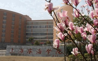 2024年上海东海职业技术学院录取分数线，河北最低291分
