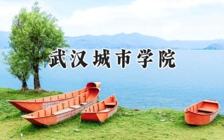 2024武汉城市学院录取分数线：江苏最低464分