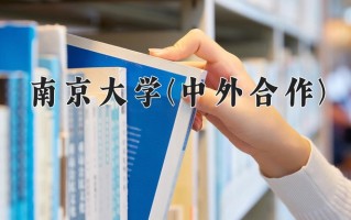 2025年南京大学(中外合作)在重庆计划招生人数（附学费及专业录取分)