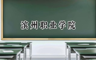 2024滨州职业学院录取分数线：山西最低236分