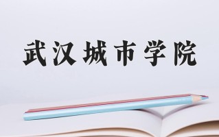 武汉城市学院王牌专业有哪些？附2025最新王牌专业排名一览表