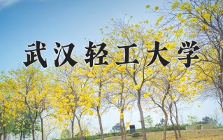 2025年武汉轻工大学在四川计划招生人数（附学费及专业录取分)