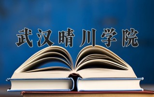 2025年武汉晴川学院在河南计划招生人数（附学费及专业录取分)