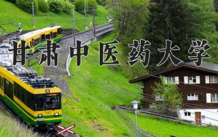 2024年甘肃中医药大学录取分数线，宁夏最低420分
