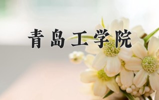 2025年青岛工学院在四川计划招生人数（附学费及专业录取分)