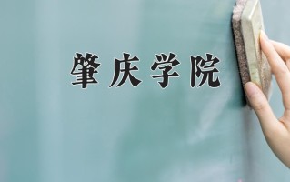 2025年肇庆学院在河南计划招生人数（附学费及专业录取分)