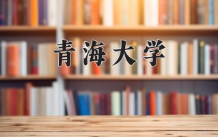2024年青海大学录取分数线，宁夏最低462分