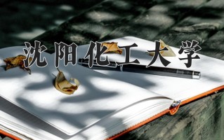 2025年沈阳化工大学在四川计划招生人数（附学费及专业录取分)