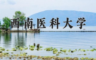 2025年西南医科大学在四川计划招生人数（附学费及专业录取分)