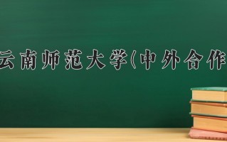 2025年云南师范大学(中外合作)在重庆计划招生人数（附学费及专业录取分)