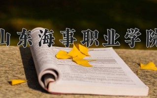 2025年山东海事职业学院在新疆计划招生人数（附学费及专业录取分)