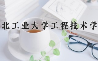 2025年湖北工业大学工程技术学院在河南计划招生人数（附学费及专业录取分)