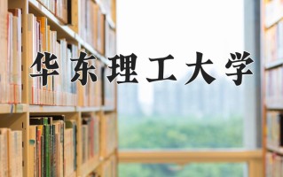 2025年华东理工大学在新疆计划招生人数（附学费及专业录取分)