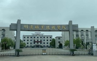 2024年明达职业技术学院录取分数线，河北最低240分